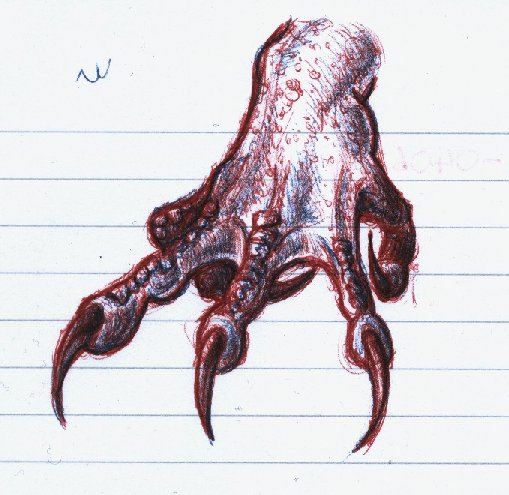 509x495 dragon claw drawing at com free for personal us on tribal claw - Dragon Claw Drawing