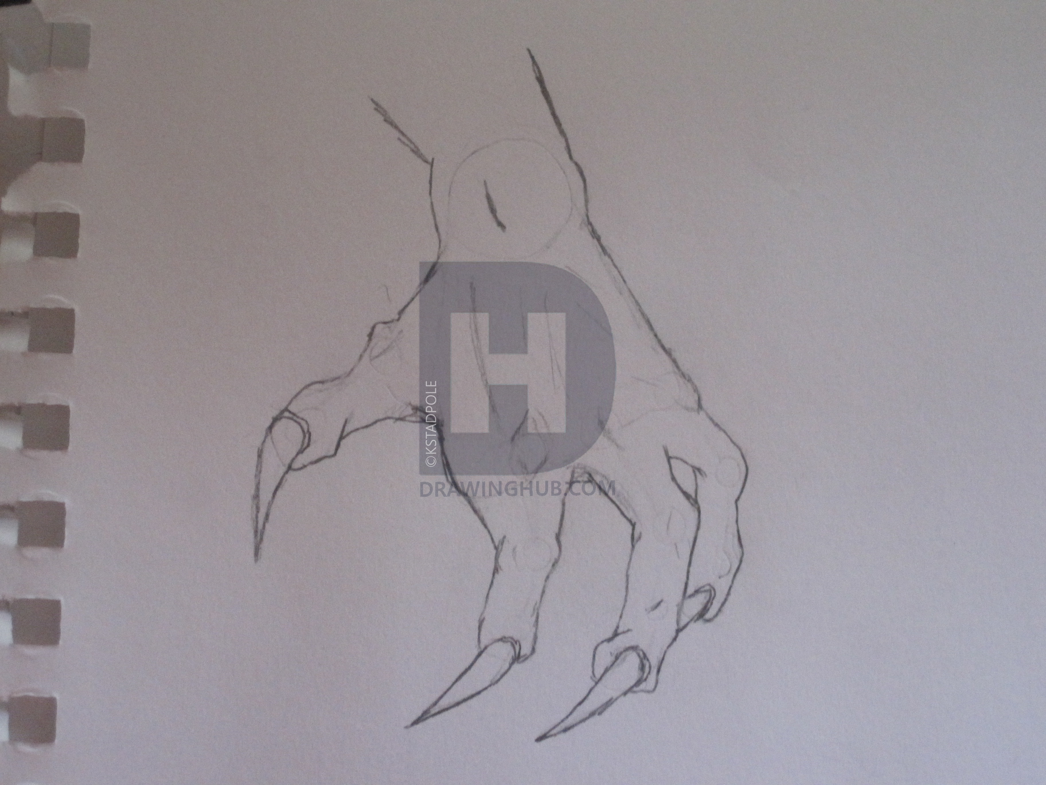 3648x2736 Dragon Claw Drawing - Dragon Claw Drawing