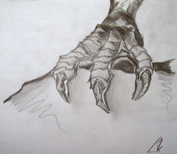 600x523 Dragon Claw Sketch - Dragon Claw Drawing