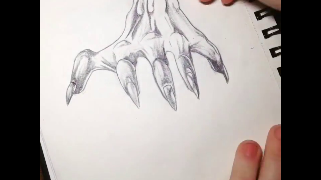 Dragon Claw Drawing at Explore collection of