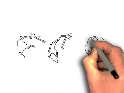 480x360 How To Draw A Dragon Claw - Dragon Claw Drawing