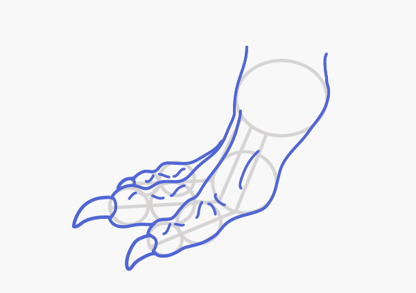 600x423 rawr! how to draw an anatomically correct dragon - Dragon Claw Drawing