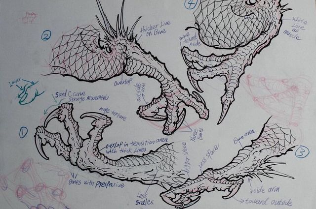 Dragon Claw Drawing at PaintingValley.com | Explore collection of ...