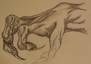 384x270 Sss Drawingtutorials Dragon Claw Tutorial - Dragon Claw Drawing