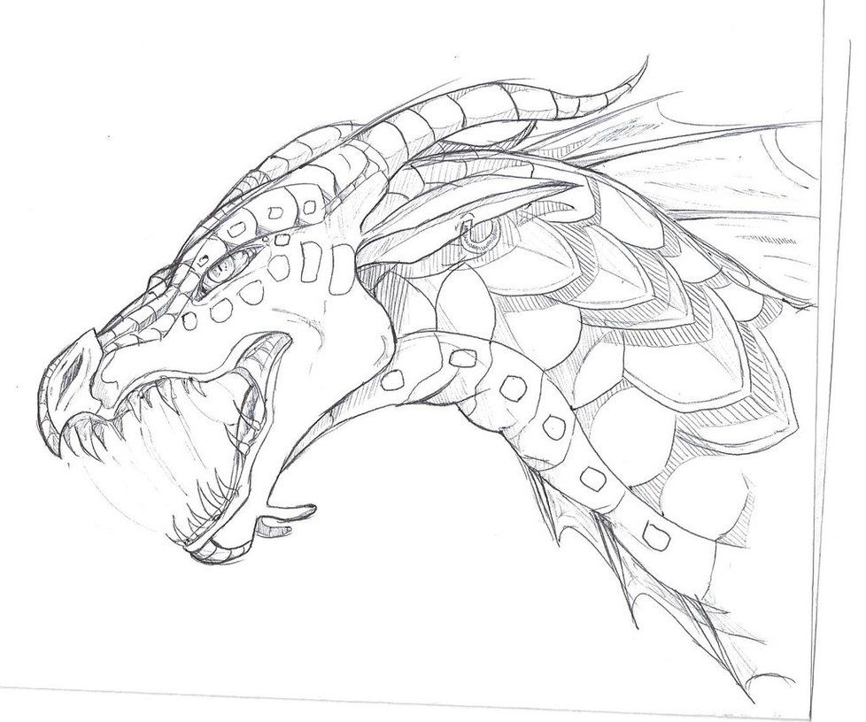 978x816 Scratch Drawing Dragon Claw For Free Download - Dragon Claw Drawing