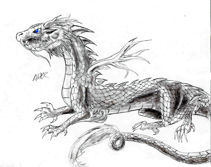 800x635 claws drawing free download - Dragon Claw Drawing