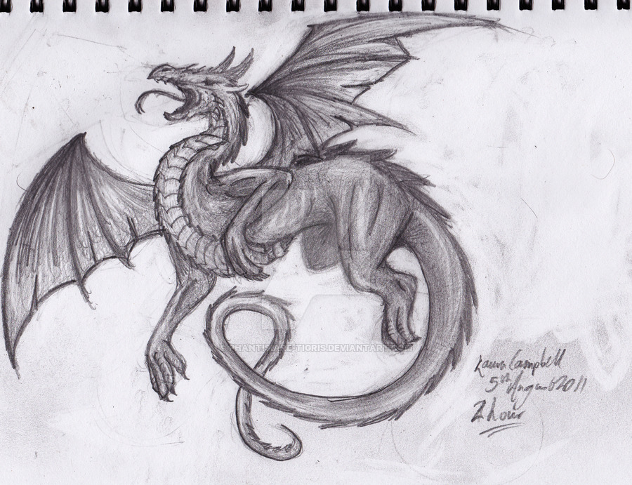 900x691 hour dragon drawing - Dragon Drawing