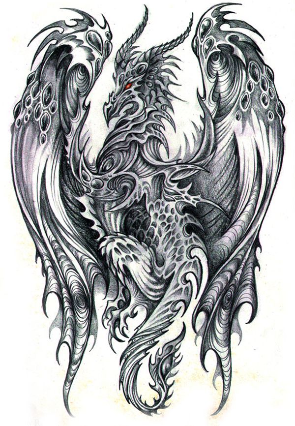 600x866 Dragon - Dragon Drawing Art