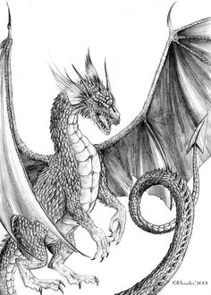 236x330 Cool Dragon Drawings For Inspiration Tattoo Cool Dragon - Dragon Drawing Art