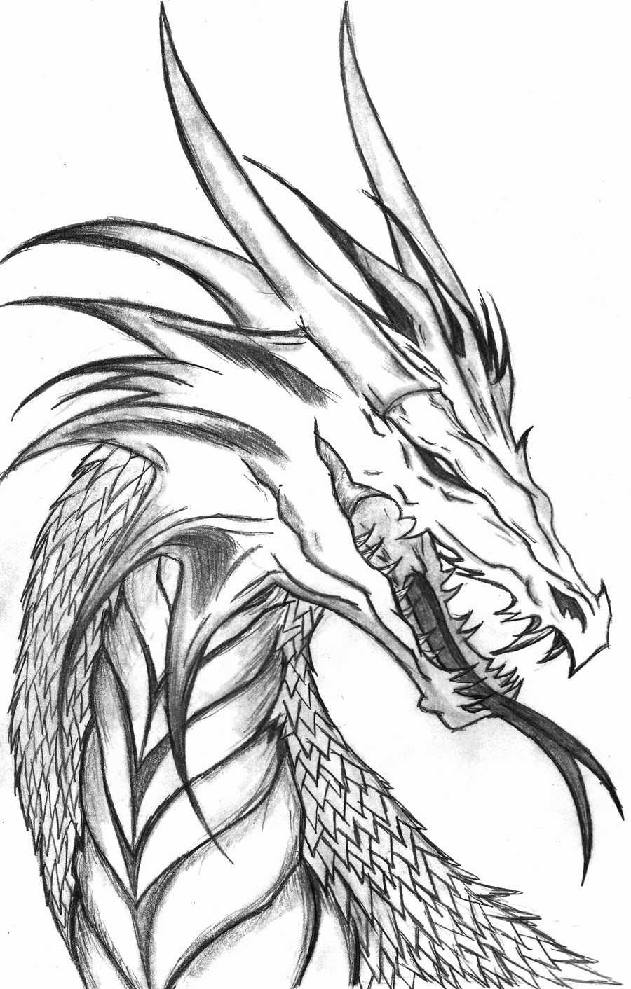 900x1412 Evil Dragon Drawing Creative Art Drawing Skill - Dragon Drawing Art