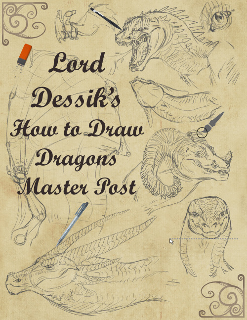 500x647 Dragon Tutorial Tumblr - Dragon Drawing Art