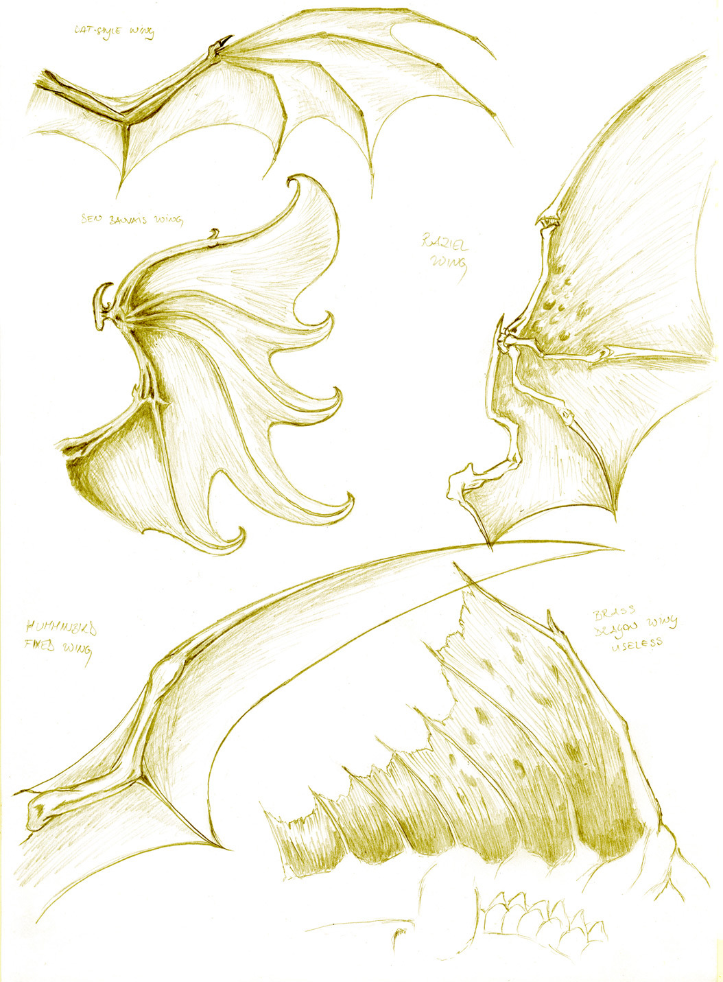 1054x1431 Gif Drawing Art Design Animation Anatomy Dragon Reference Dragons - Dragon Drawing Art