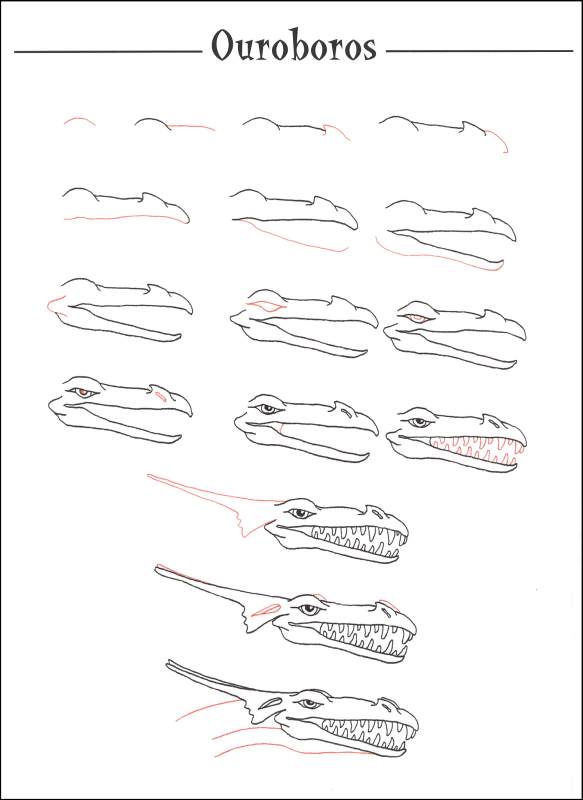 583x800 ralph masiello's dragon drawing book, charlesbridge - Dragon Drawing Book