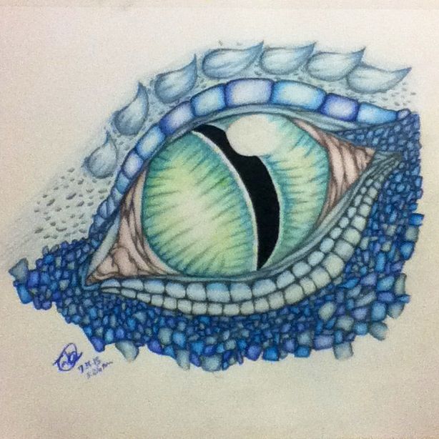 614x614 Dragon Drawings In Color Dragon Eye Color Drawing - Dragon Drawing Color