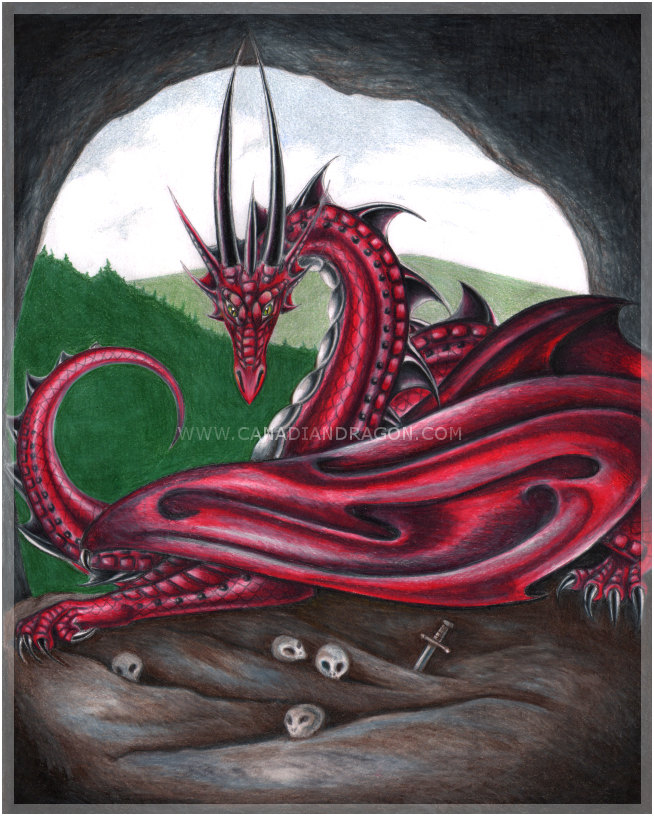 654x816 Huge Collection Of 'dragon Drawing Color' Download More Than - Dragon Drawing Color