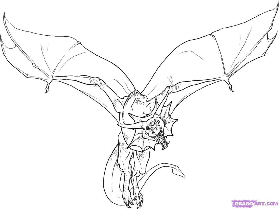 1166x873 Dragon Sketches In Pencil Flying Drawing Of Dragon Drawings - Dragon Drawing Drawing