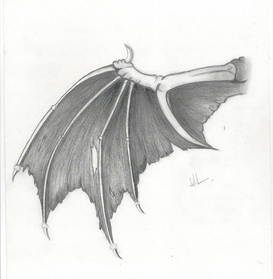 879x900 Dragon Wings Drawing Drawing - Dragon Drawing Drawing