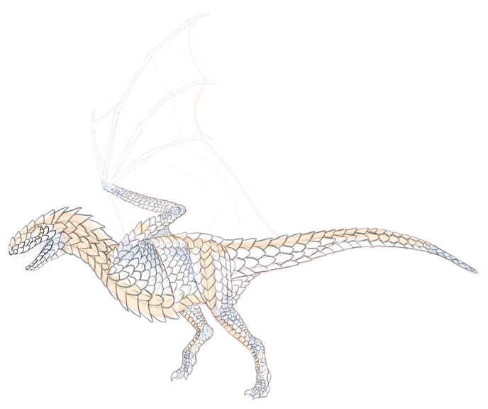 688x576 How To Draw Dragons Step - Dragon Drawing Drawing