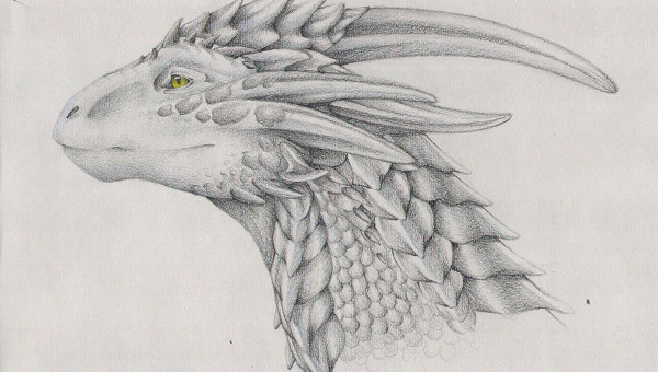 600x340 realistic dragon drawings free premium creatives - Dragon Drawing Drawing