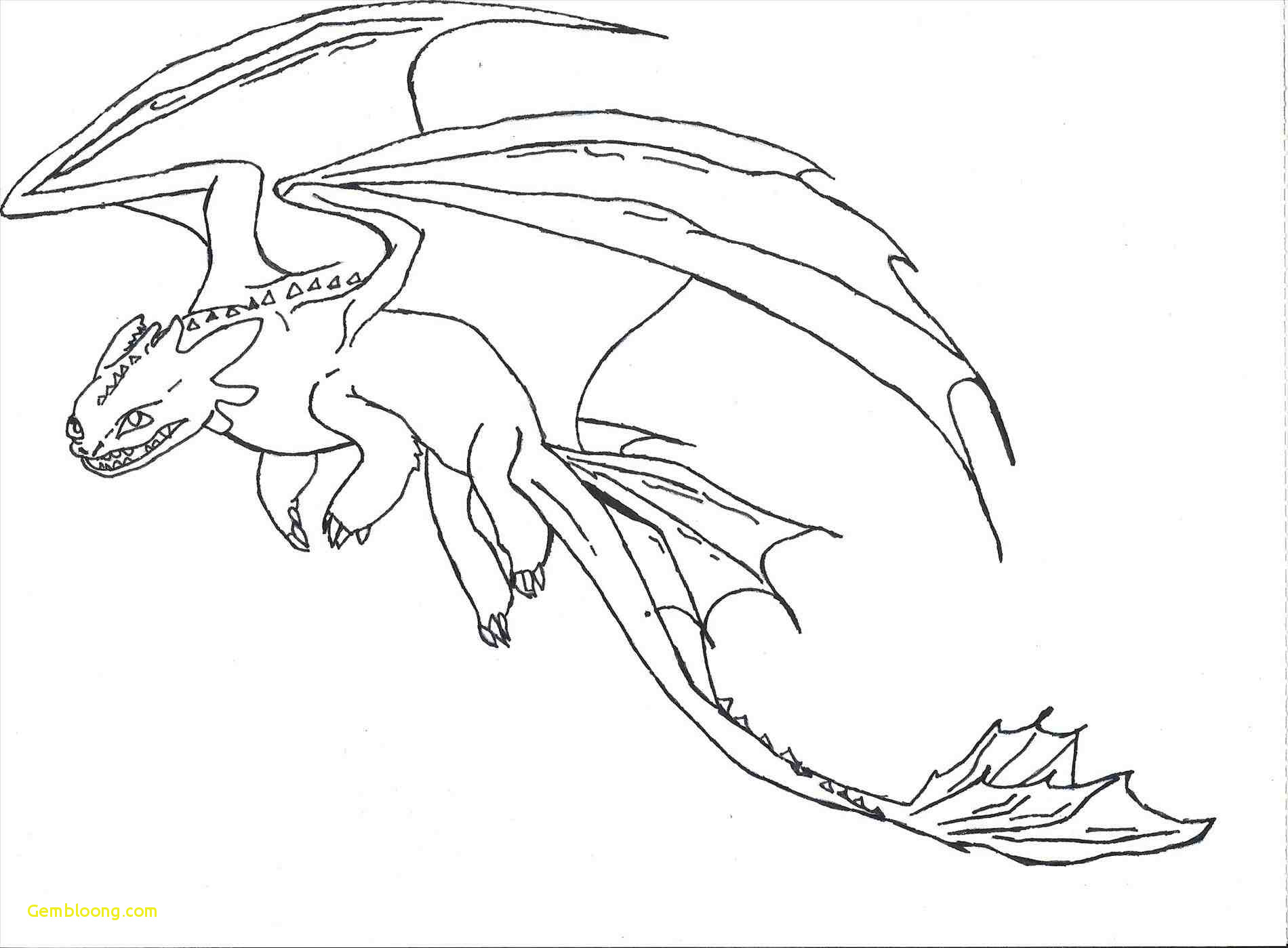 Cool Dragon Drawings For Kids / 10+ Cool Dragon Drawings for ...