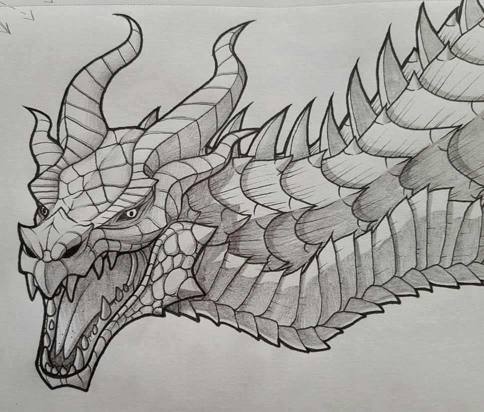 969x825 Skyrim Dragon - Dragon Drawing Games