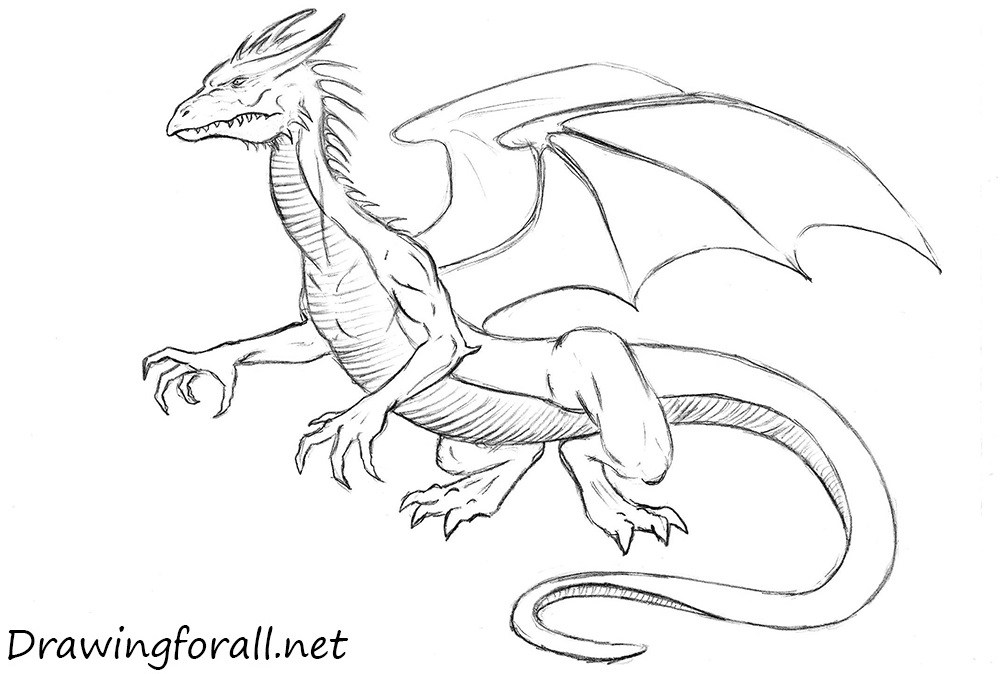 1000x674 Drawing Of Dragon How To Draw A Drawingforall Net Sweet Sardinia - Dragon Drawing Pages