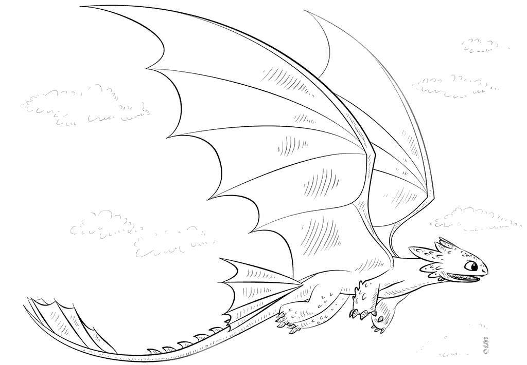 1024x711 Flying Dragon Coloring Pages Betterothless Hand Drawing - Dragon Drawing Pages