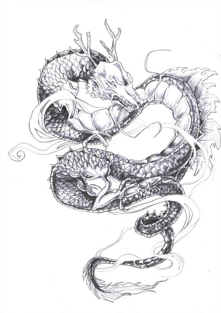 752x1063 Dragon Drawing Tattoo - Dragon Drawing Tattoo