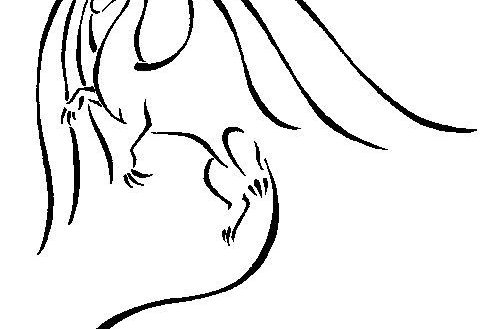 497x329 Drawing Of Dragon Logo Book Simple Drawings Tattoo Sweet - Dragon Drawing Tattoo