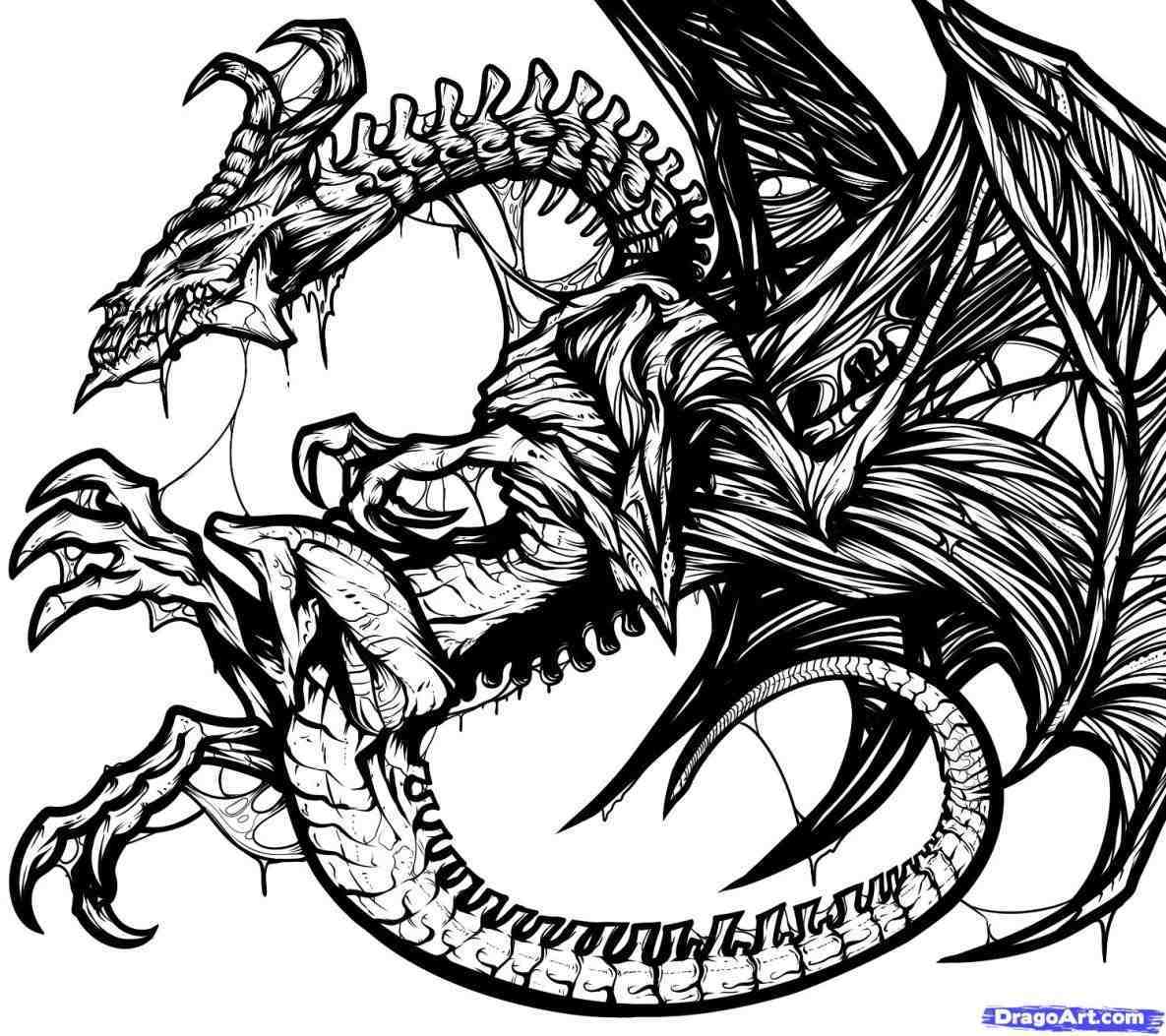 1185x1053 Easy Tattoo Drawing Ideas Dragon - Dragon Drawing Tattoo