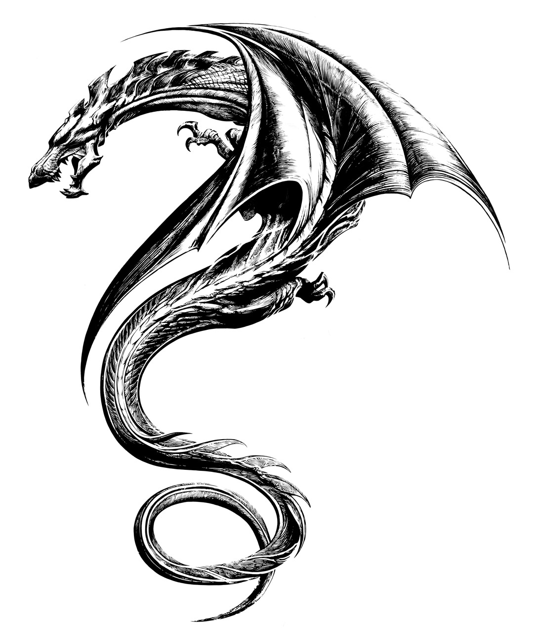 1093x1280 Awesome Dragon Tattoo Designs For Men - Dragon Drawing Tattoo