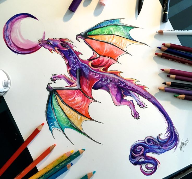 736x686 Colorful Dragon Tattoo Drawing - Dragon Drawing Tattoo