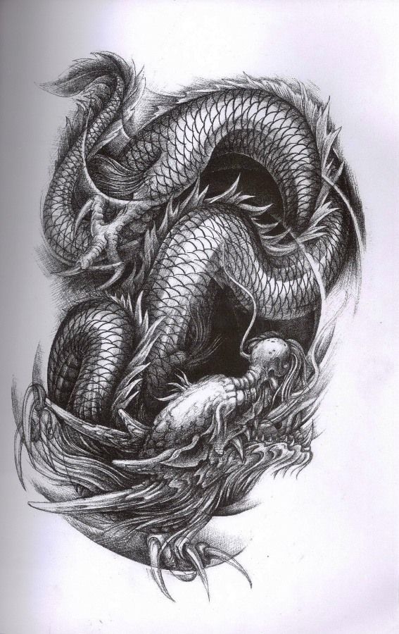 567x900 Dragon Tattoo - Dragon Drawing Tattoo