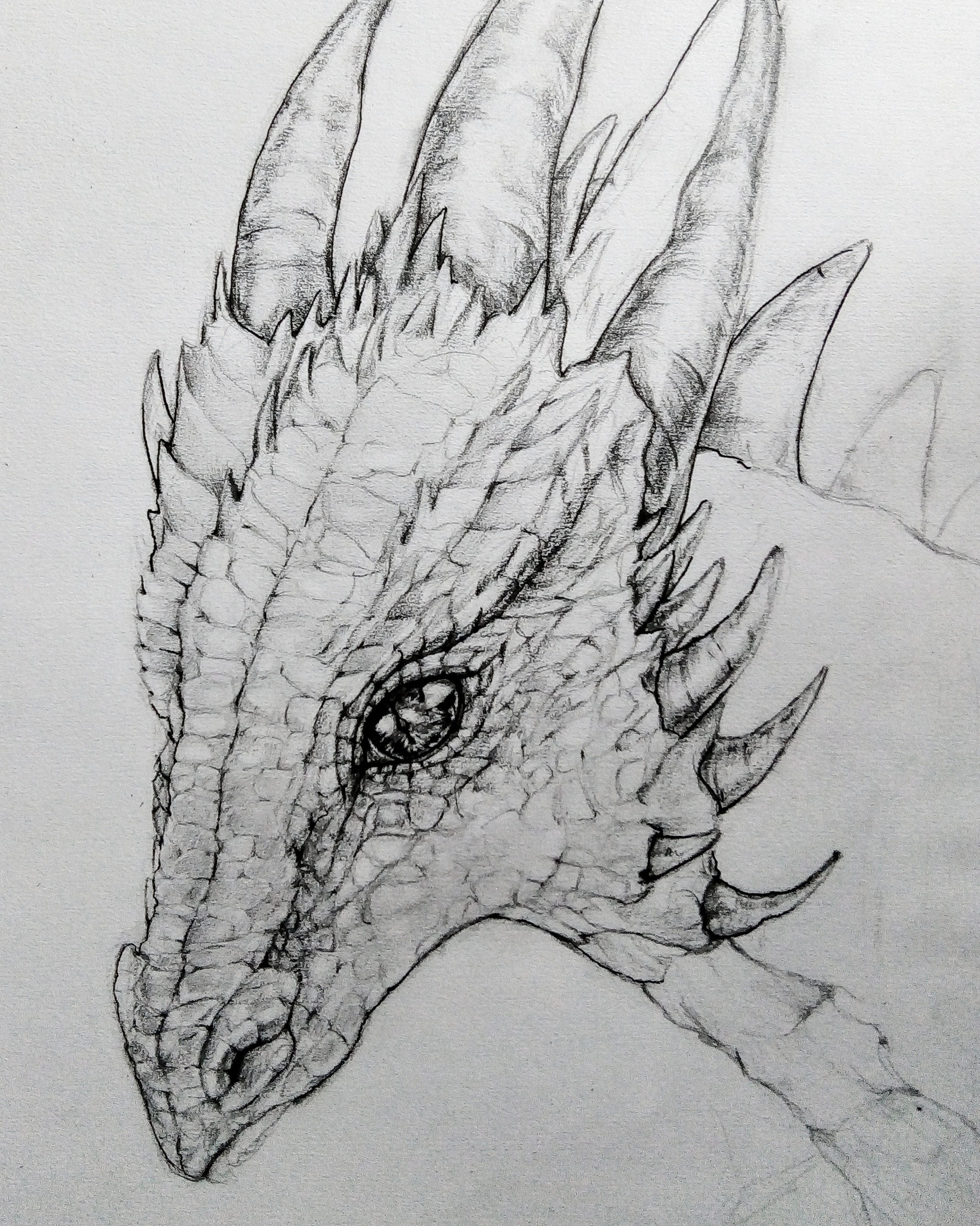 2147x2685 Drawitbetter - Dragon Drawing Time Lapse