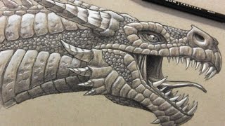 320x180 Dragon's Head Videos - Dragon Drawing Time Lapse