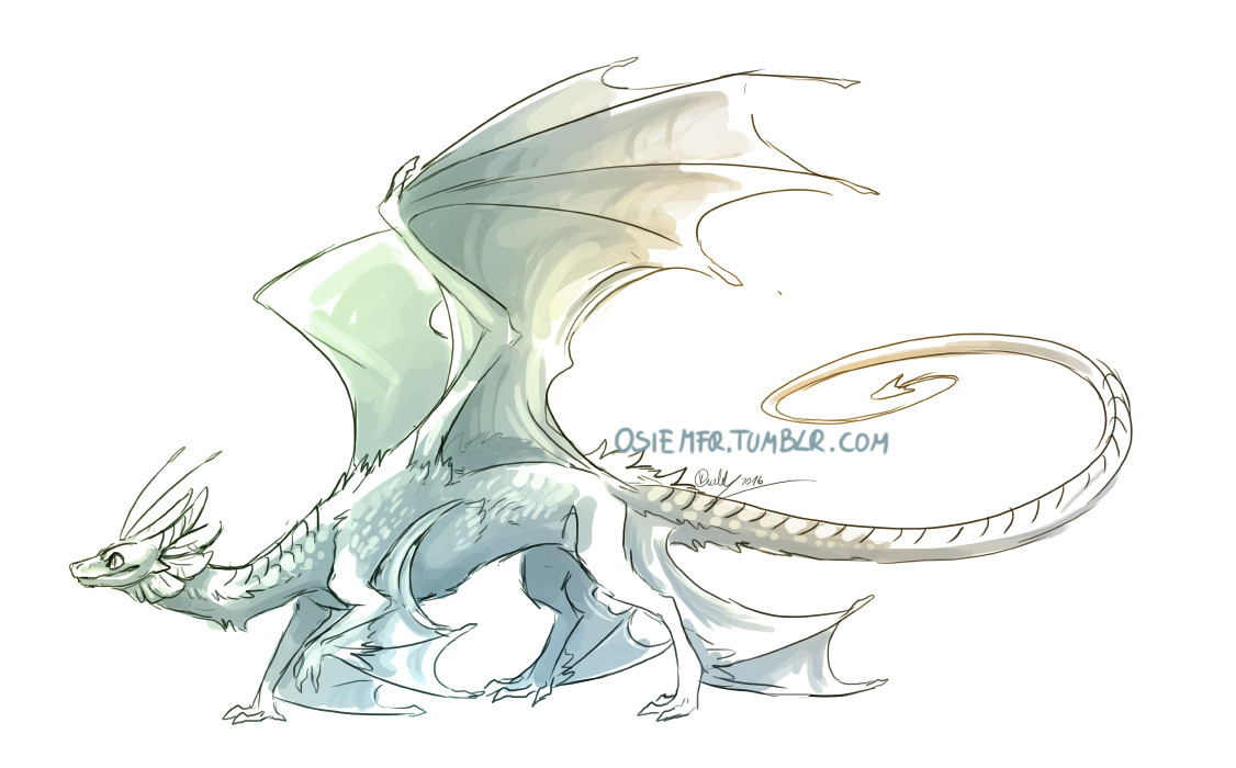 1126x700 Flight Rising Chinese Dragon Drawing Tumblr - Dragon Drawing Tumblr