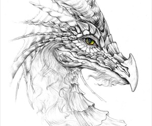 300x250 Images About Blackampwhite Grils On We Heart It See More - Dragon Drawing Tumblr