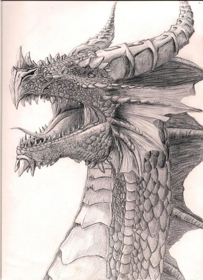 698x960 Dragon Tumblr Dragons Dragon, Dragons Tumblr, Dragon Art - Dragon Drawing Tumblr