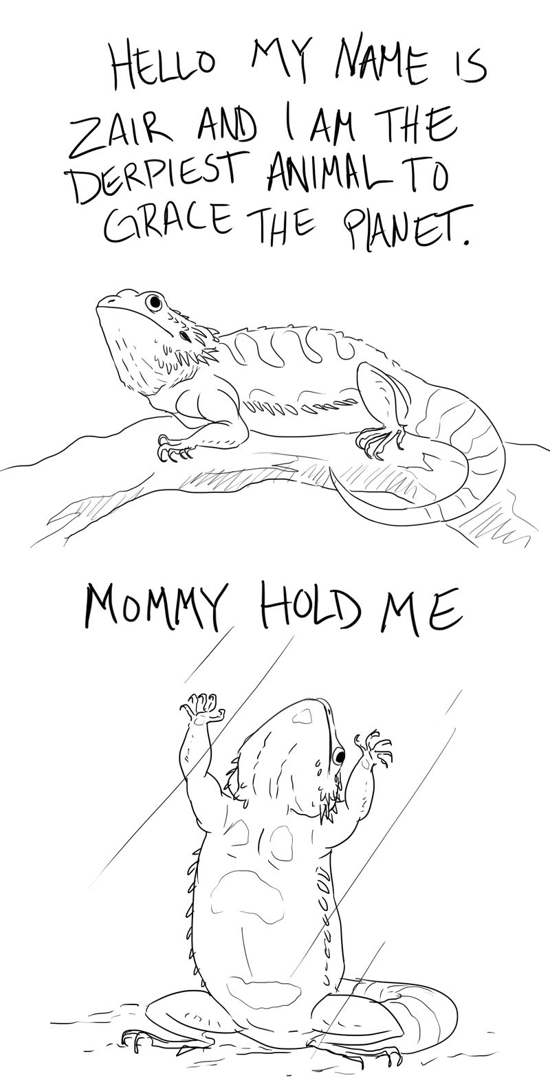 800x1584 Cute Bearded Dragon Drawings Cute Dragon Drawings Bearded - Dragon Drawing Tumblr