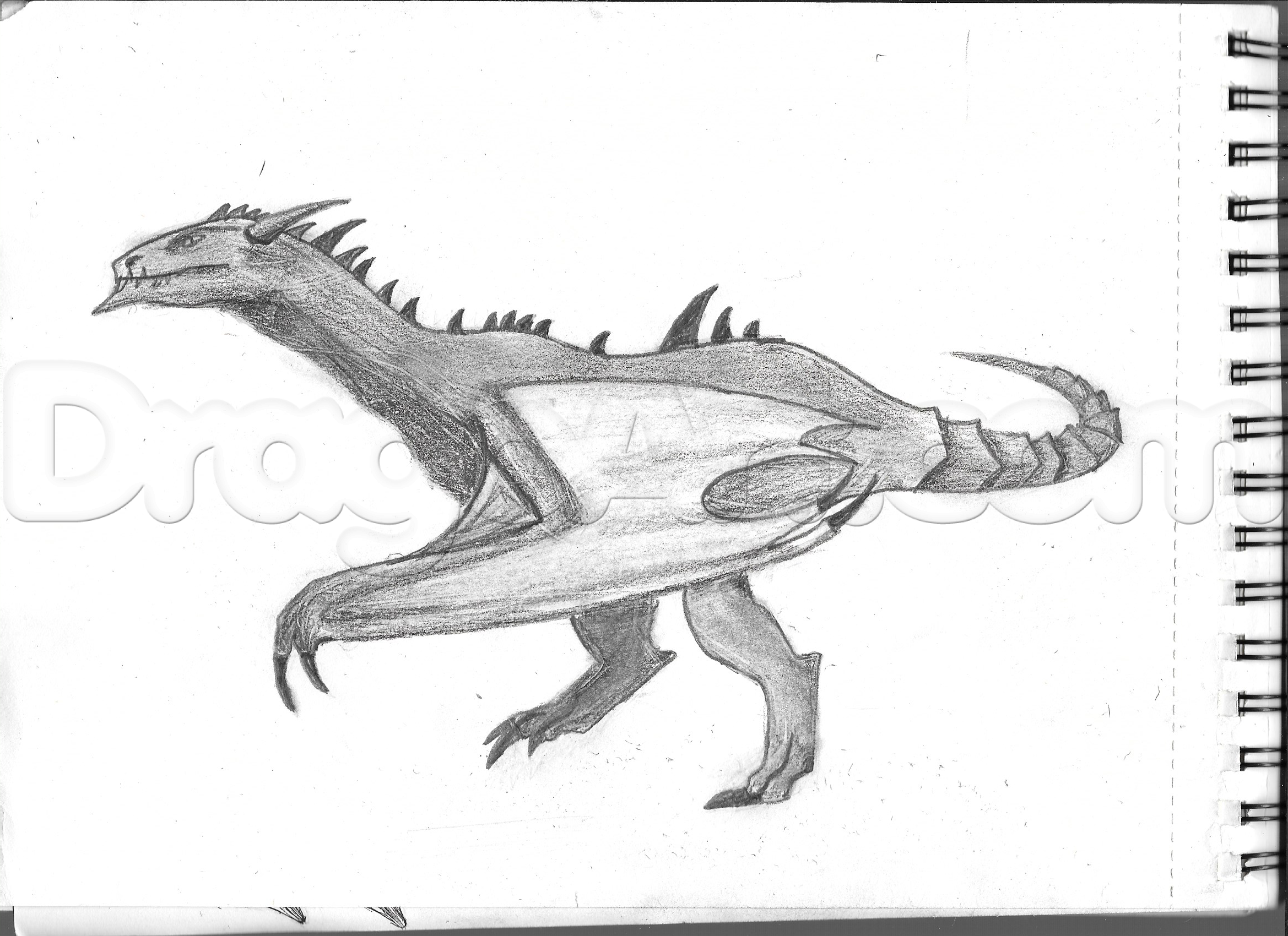 2338x1700 How To Draw A Wyvern Type Dragon, Step - Dragon Drawing Tutorial