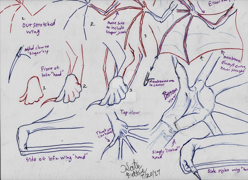 1049x762 Tutorial How I Draw - Dragon Drawing Tutorial