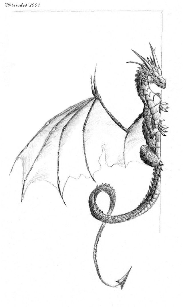 640x1073 Dragon - Dragon Drawing Website