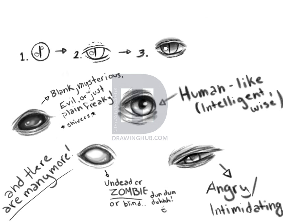 916x720 How To Draw And Color Dragon Eyes, Step - Dragon Eye Drawing Step By Step