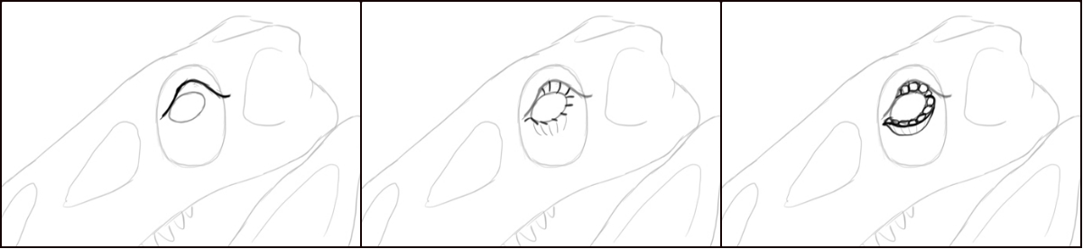 1200x276 How To Draw Dragons Step - Dragon Eye Drawing Step By Step