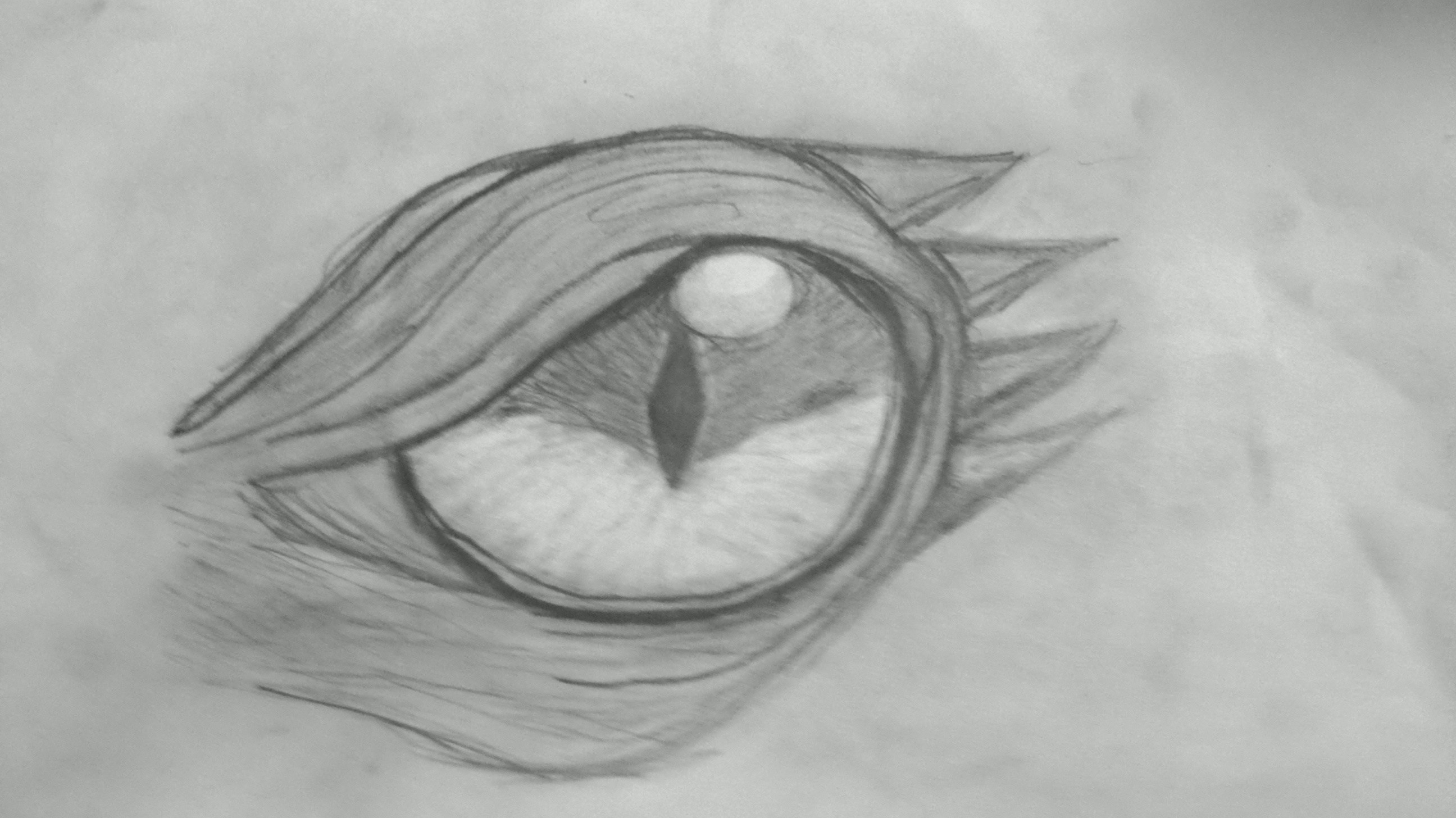Dragon Eye Pencil Drawing At Paintingvalley Com Explore Collection Of Dragon Eye Pencil Drawing