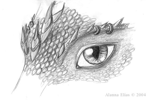 564x381 Dragon Eye Drawing - Dragon Eye Pencil Drawing
