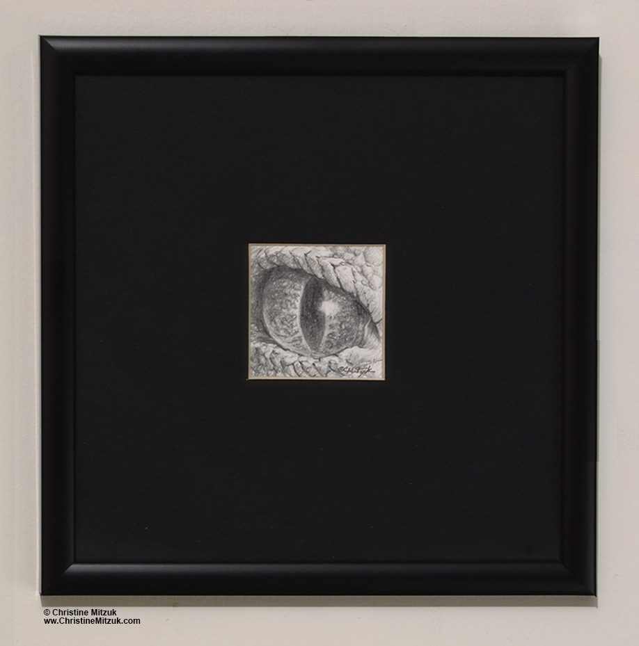 918x929 dragon eye drawing red dragon christine mitzuk art - Dragon Eye Pencil Drawing