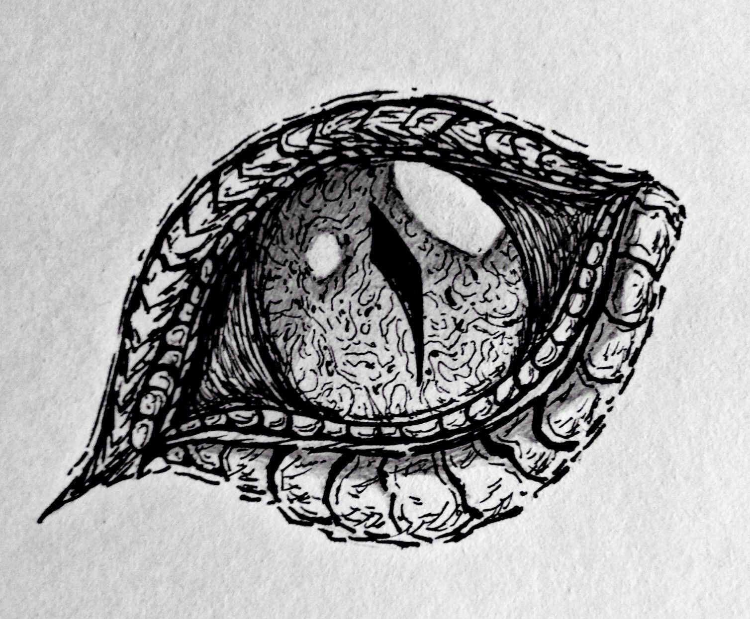 1508x1246 Dragon Sketch Drawing And Cool Dragon Eye Drawings In Pencil - Dragon Eye Pencil Drawing