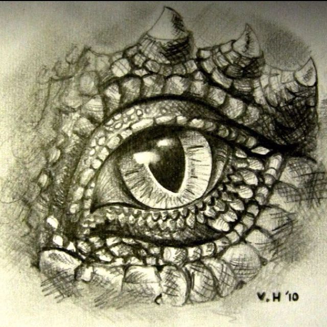 640x640 graphite pencil drawing dragon's eye while many adolescent girls - Dragon Eye Pencil Drawing