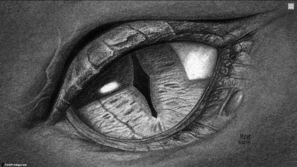 989x557 How To Draw A Dragon's Eye Close Up! Drawing Competition - Dragon Eye Pencil Drawing